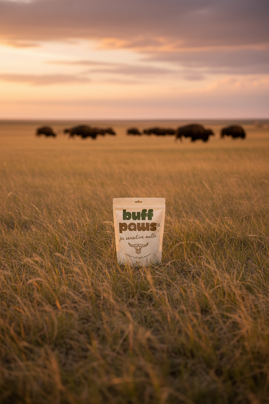 Buff Paws Co. Buffalo Pouch in Great Plains Habitat